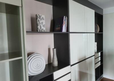 Modern Shelving and Storage in Living Room