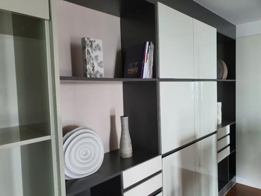 Modern Shelving and Storage in Living Room