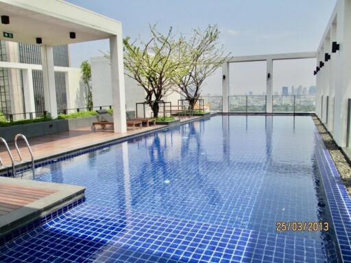 Rooftop infinity pool with city view