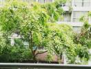 View of green trees and neighboring building from a balcony.