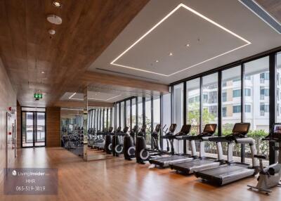 Modern gym with wooden flooring and large windows