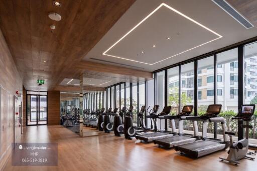 Modern gym with wooden flooring and large windows