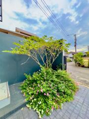 Outdoor garden view