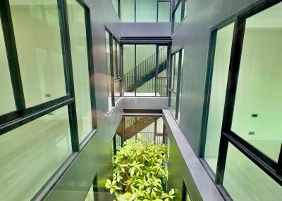 Modern building interior with large windows and indoor plants