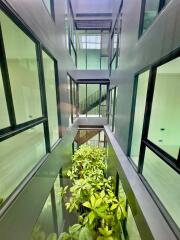 Modern building interior with large windows and indoor plants