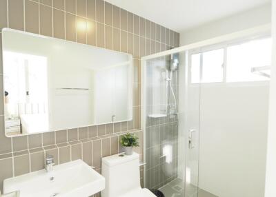 Modern bathroom with walk-in shower and tile wall