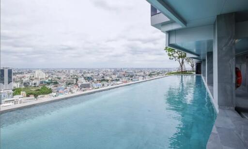 Rooftop swimming pool with city view