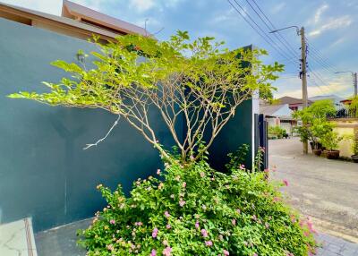 Well-maintained garden with blooming plants