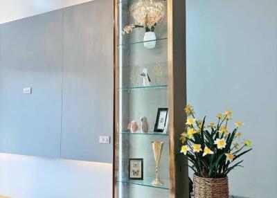 Modern living room with glass display cabinet and potted flowers