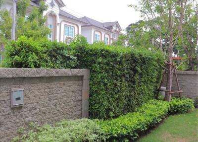 Well-maintained garden area with lush greenery and a view of neighboring townhouses