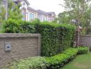 Well-maintained garden area with lush greenery and a view of neighboring townhouses