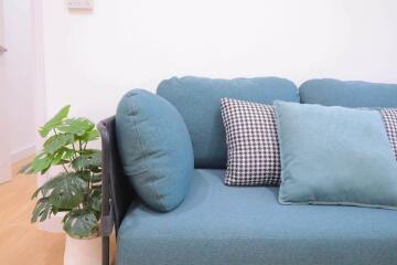 Cozy living room with a modern blue sofa and decorative pillows