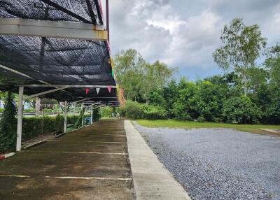 empty outdoor space with parking area and trees