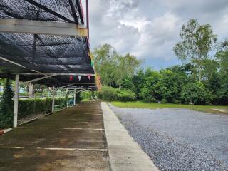 empty outdoor space with parking area and trees