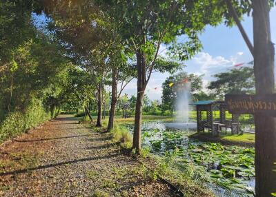 Gravel walkway alongside a pond in a lush garden