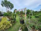 Beautiful garden with decorative plants and archways