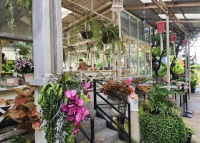 Outdoor garden area with lush green plants and flowers