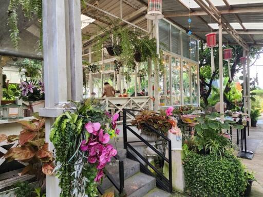 Outdoor garden area with lush green plants and flowers