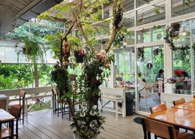 Spacious dining area with large windows and indoor plants