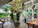 Spacious dining area with large windows and indoor plants