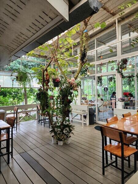 Spacious dining area with large windows and indoor plants