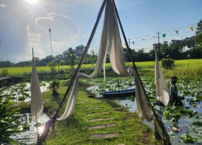 Peaceful outdoor area with walkway over water surrounded by greenery