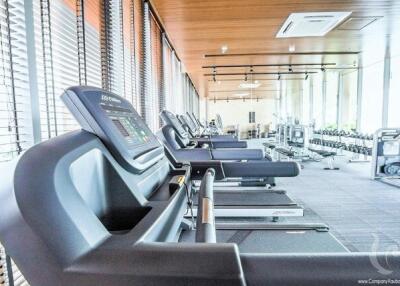 Modern gym with treadmills and cardio equipment