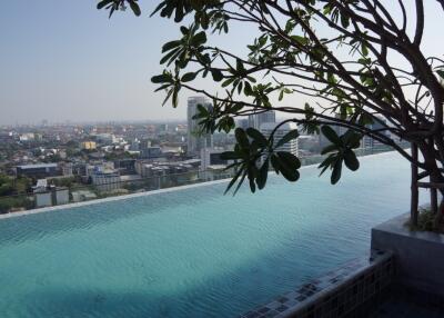 Rooftop infinity pool with city view