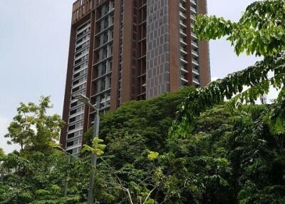 Tall residential building surrounded by trees