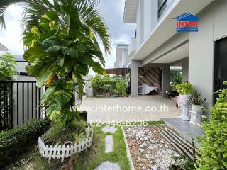 Outdoor area of a modern home with plants and a patio