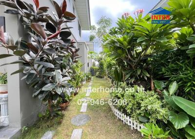 Beautiful garden with lush plants and pathway