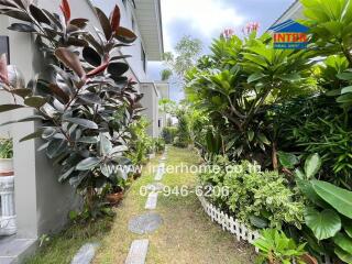 Beautiful garden with lush plants and pathway