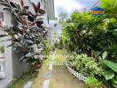 Beautiful garden with lush plants and pathway