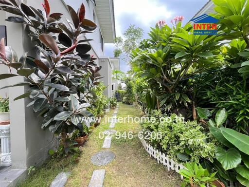 Beautiful garden with lush plants and pathway