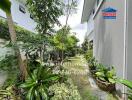 Outdoor garden area with lush green plants and trees