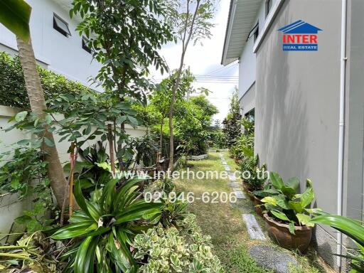 Outdoor garden area with lush green plants and trees