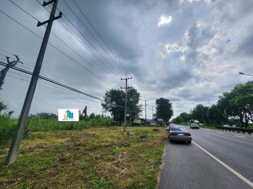 Outdoor plot of land next to a road