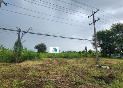 Vacant land with greenery and utility poles