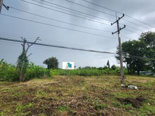 Vacant land with greenery and utility poles