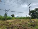 Vacant land with greenery and utility poles