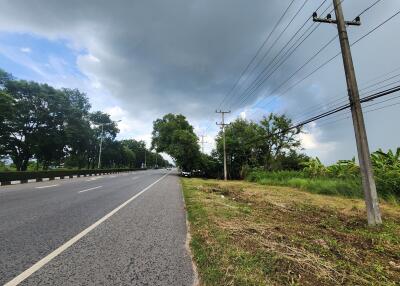 View of a road with greenery and power lines