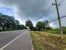 View of a road with greenery and power lines