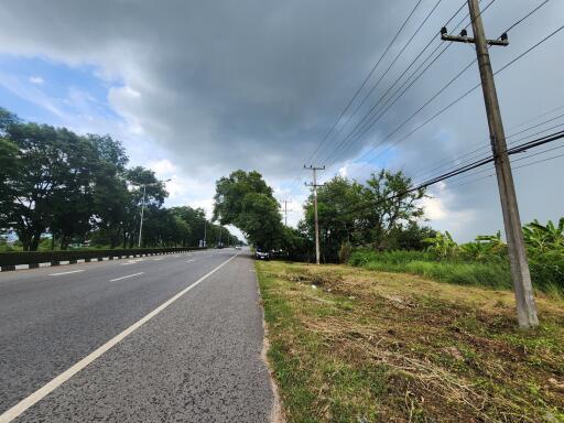 View of a road with greenery and power lines