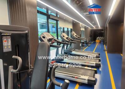 Gym area with modern exercise equipment