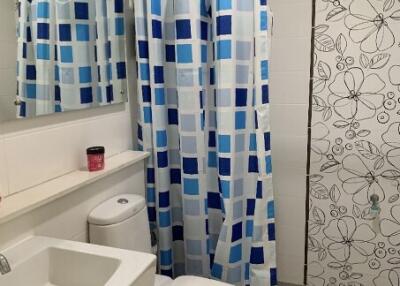 Bathroom with shower curtain