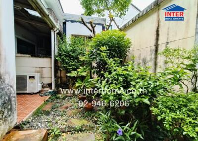 Outdoor garden area with greenery and plants