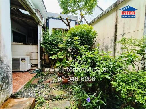 Outdoor garden area with greenery and plants