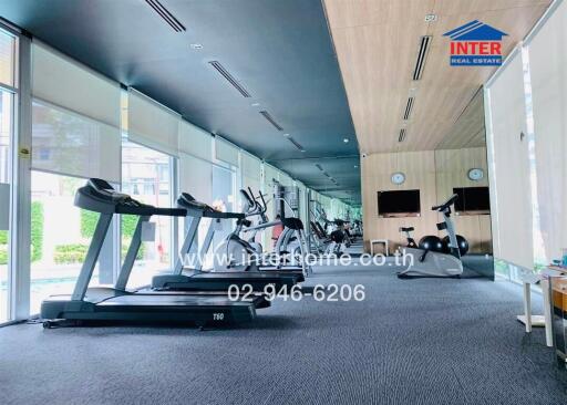 well-equipped gym with cardio machines and cycling stations