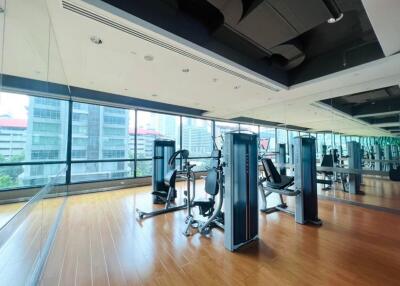 Modern gym with exercise equipment and large windows