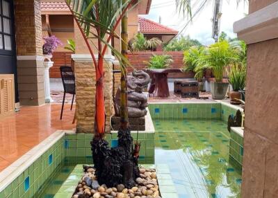 Outdoor area with small pool and plants